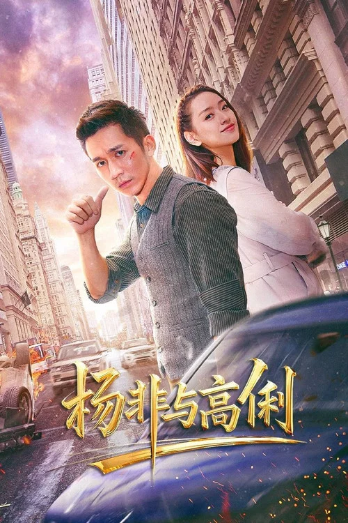 杨非与高俐(2026)海报