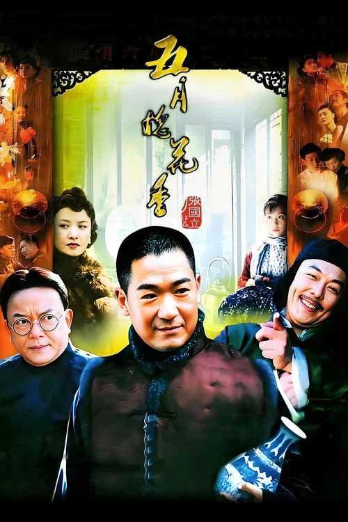 五月槐花香(2004)海报
