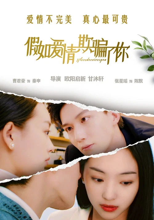 欺骗(2024)海报