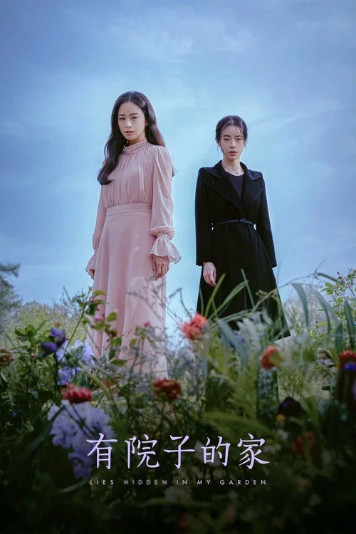 有院子的家(2023)海报