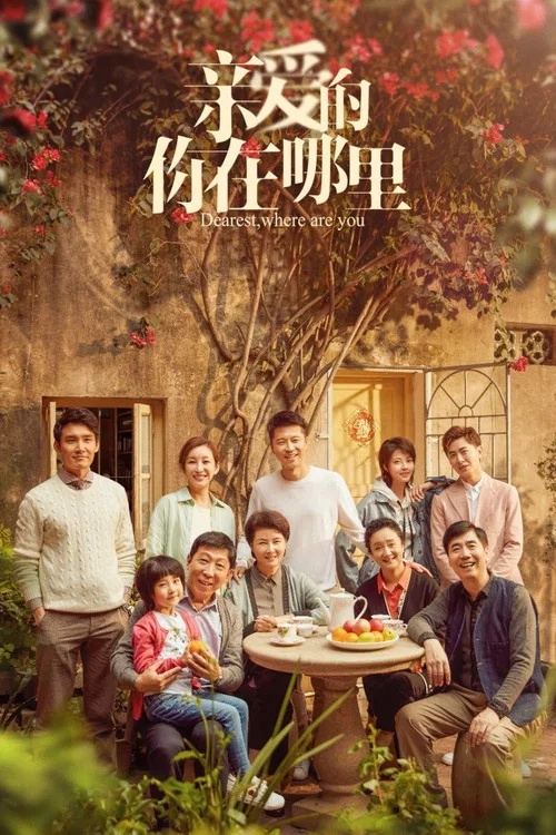 亲爱的,你在哪里剧照2