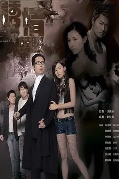 诱情转驳(2010)海报