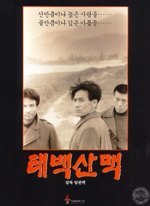 太白山脉(1994)海报