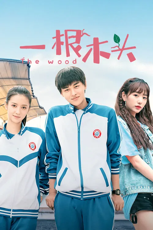 一根木头(2020)海报