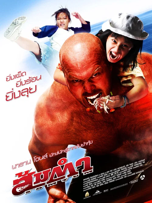 木瓜沙拉(2008)海报