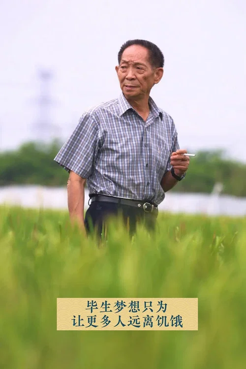 杂交水稻之父袁隆平(2021)海报