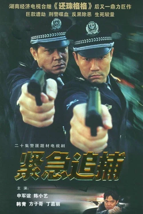 紧急追捕(2002)海报