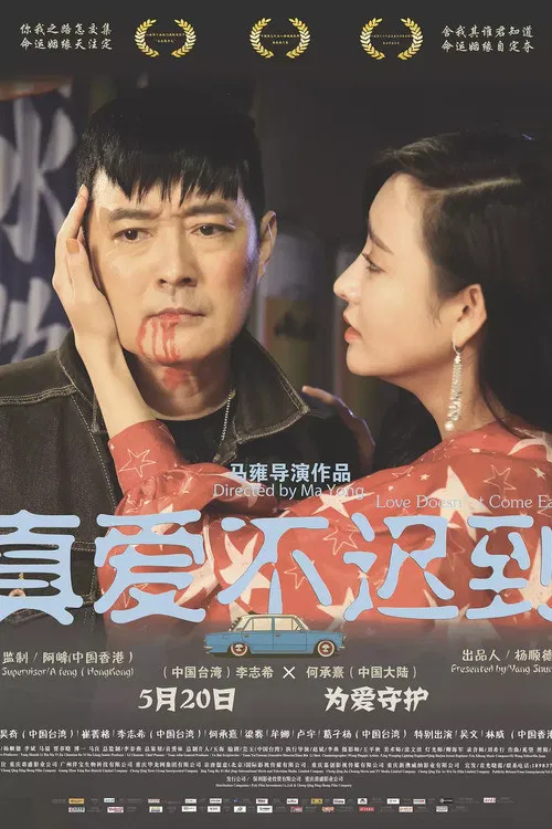真爱不迟到(2019)海报