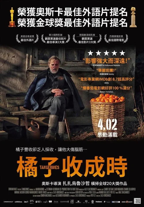金橘(2013)海报