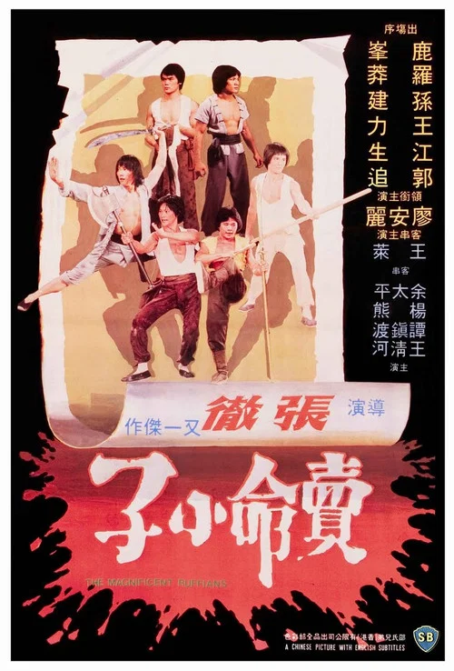 卖命小子(1979)海报