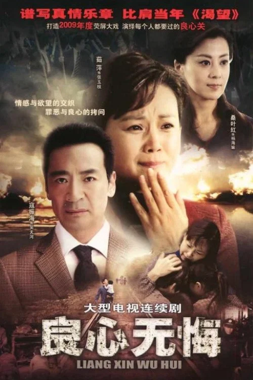 良心无悔(2009)海报