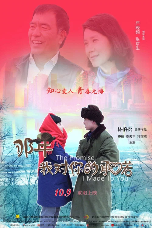 那年我对你的承诺(2016)海报