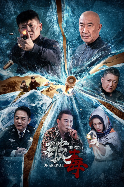 破毒(2024)海报