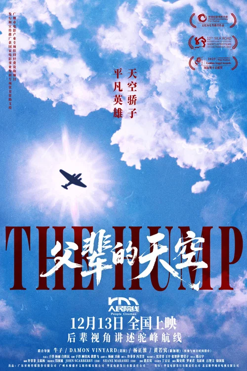 父辈的天空剧照4