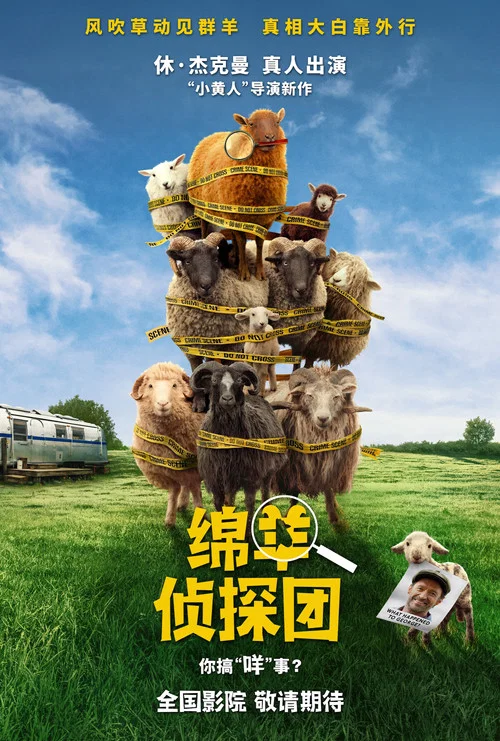 绵羊侦探团剧照4