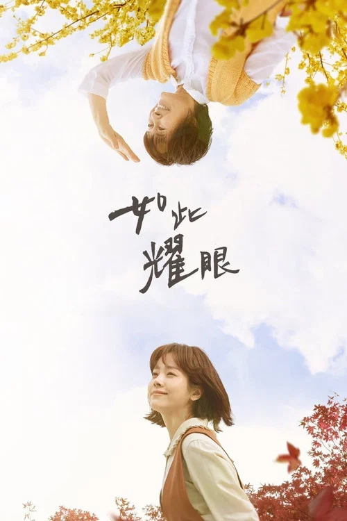 耀眼剧照4