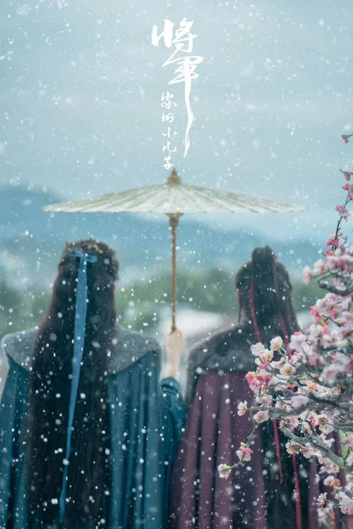 将军家的小儿子剧照3