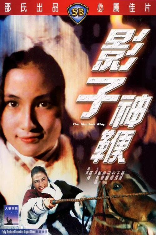 影子神鞭剧照3