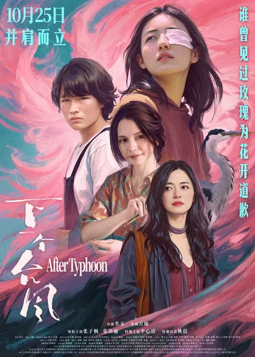 下一个台风剧照10