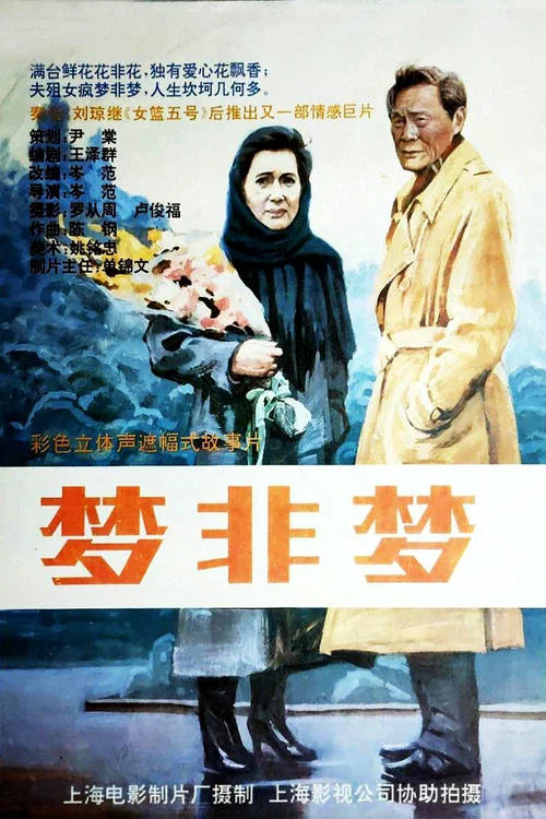 梦非梦(1993)海报