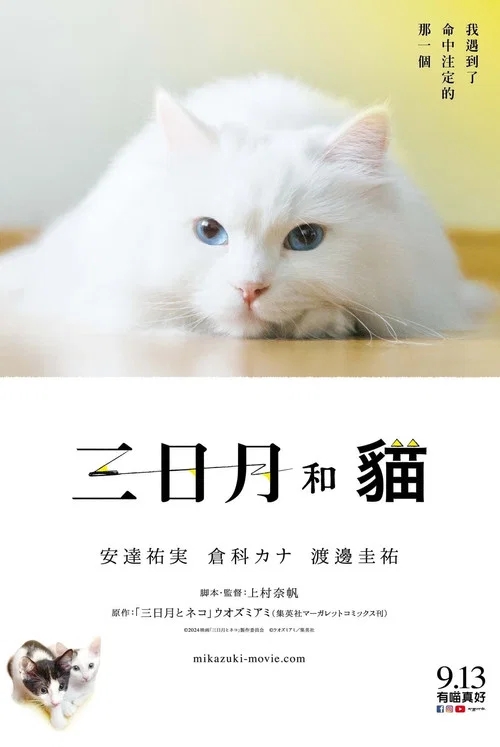 三日月与猫(2024)海报