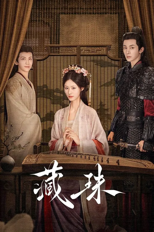 藏珠(2025)海报