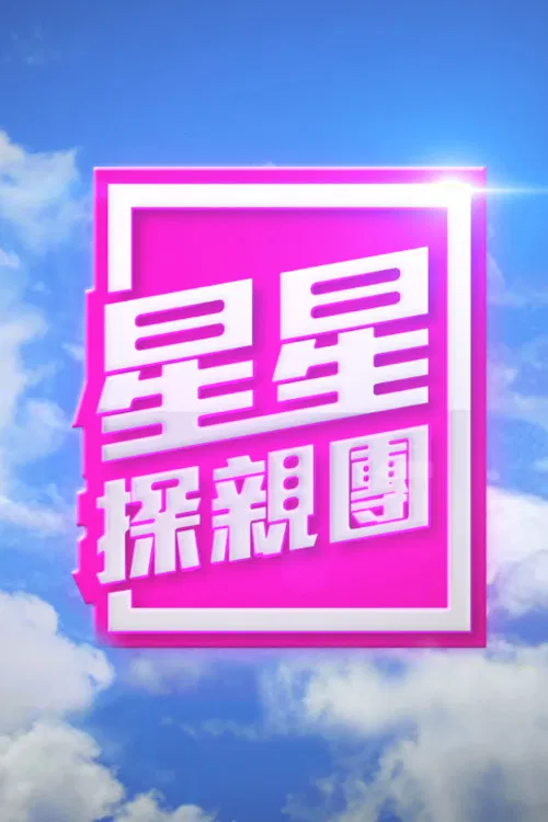 星星探亲团(2016)海报