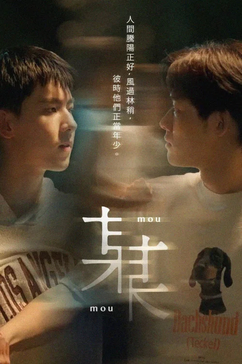 某某剧照14