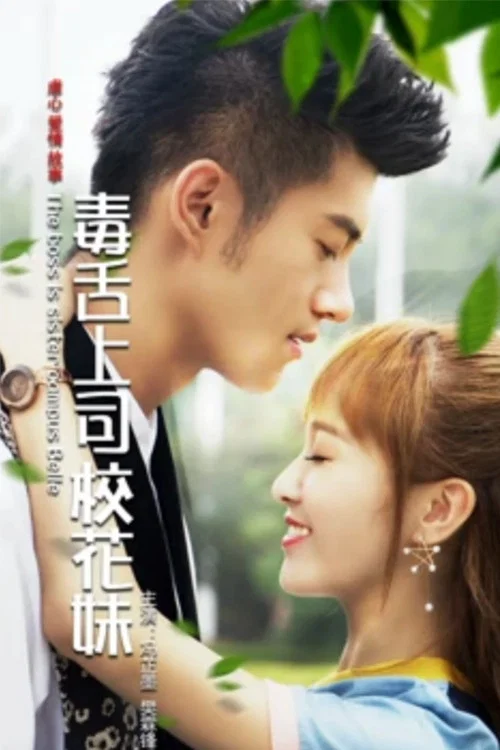 毒舌上司校花妹(2017)海报