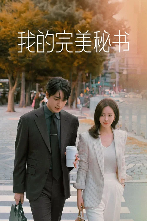 我的完美秘书(2025)海报