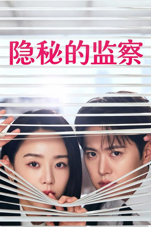 隐秘的监察(2026)海报