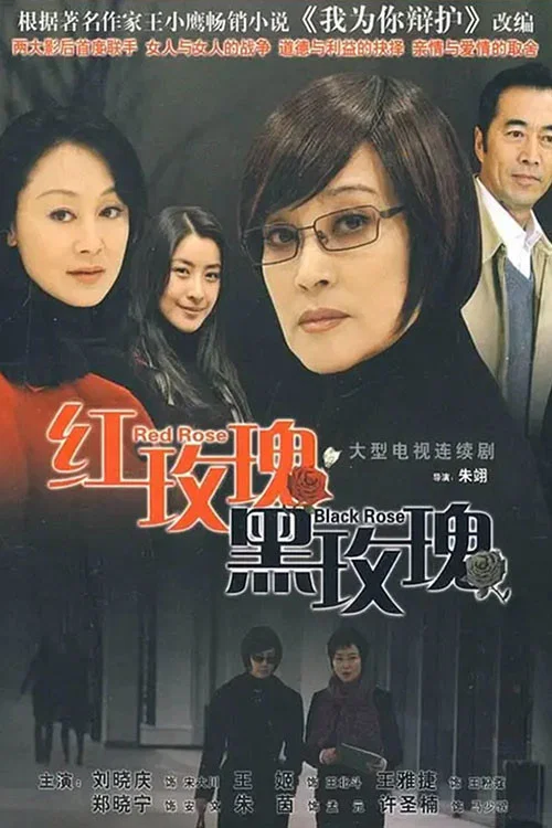 红玫瑰黑玫瑰(2010)海报
