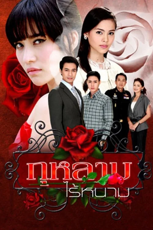 玫瑰刺(2010)海报