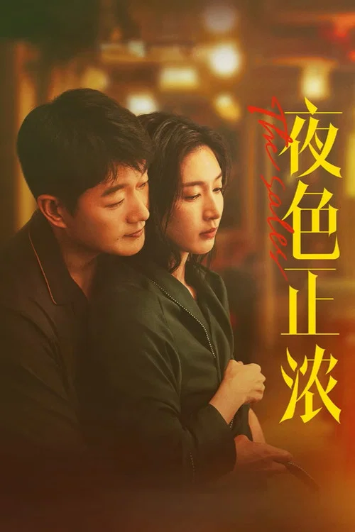 夜色正浓剧照5