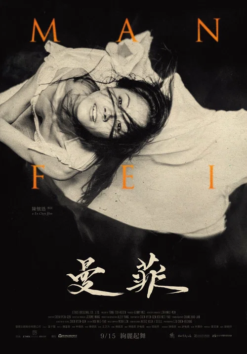 曼菲(2017)海报
