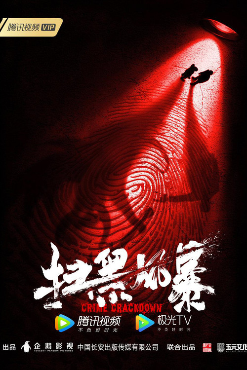 扫黑风暴剧照4
