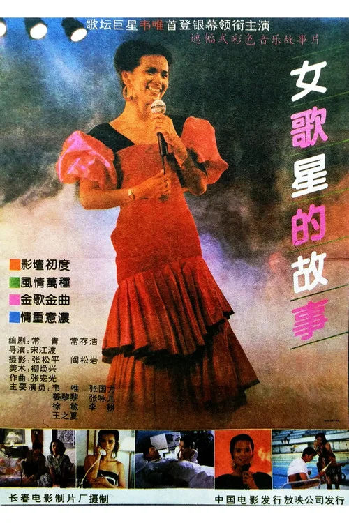 女歌星的故事(1991)海报