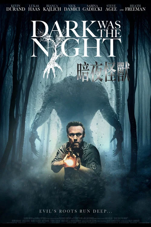 漆黑如夜(2014)海报