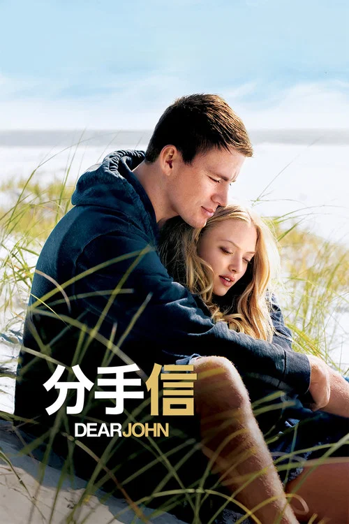 分手信(2010)海报