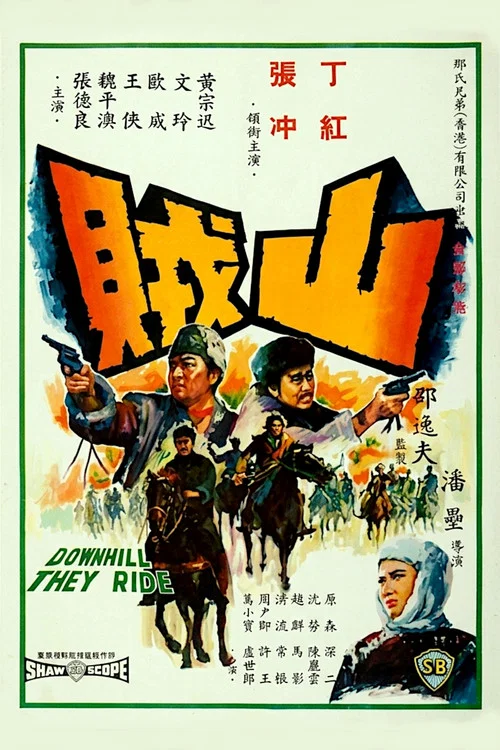 山贼(1966)海报