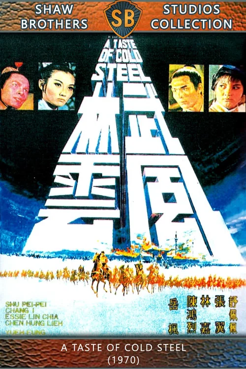 武林风云剧照4