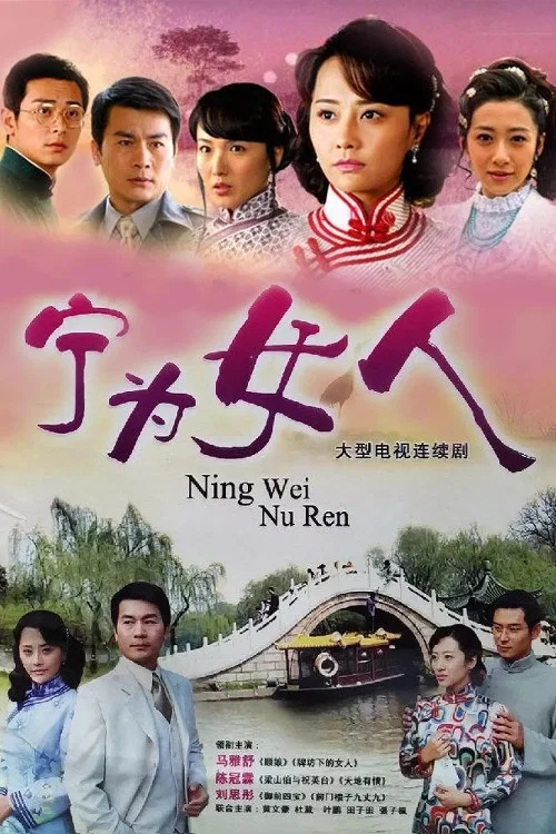 宁为女人(2008)海报