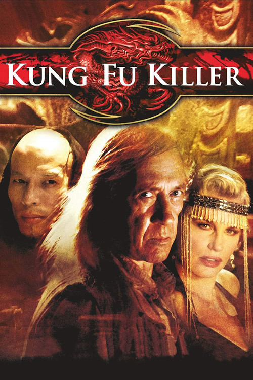 功夫杀手(2008)海报
