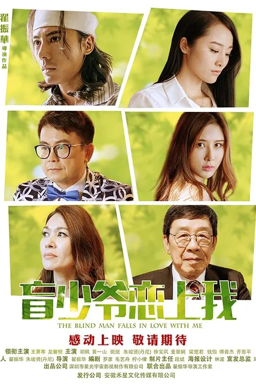 盲少爷恋上我(2018)海报