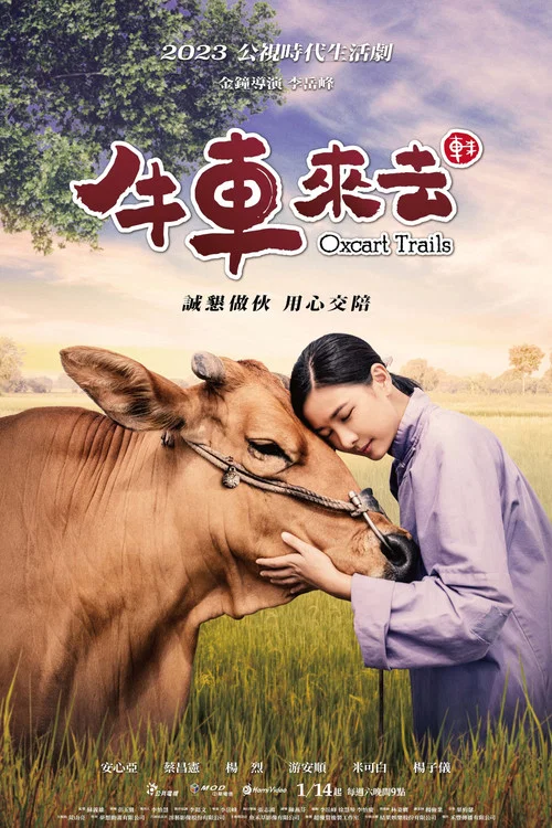 牛车来去剧照3