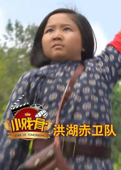 小戏骨:洪湖赤卫队(2016)海报