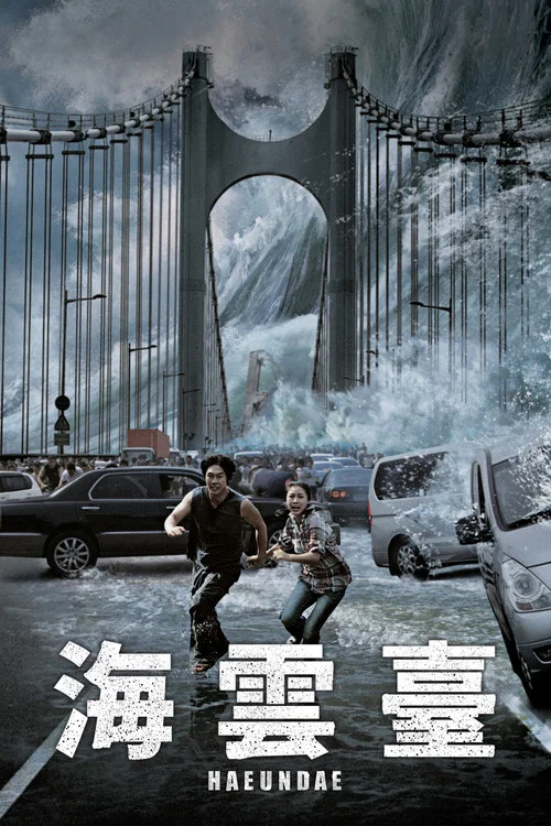 海云台(2009)海报