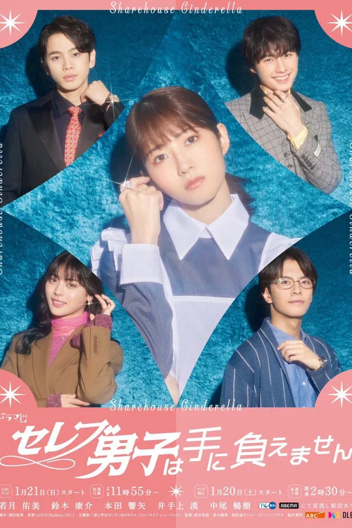 名流男子太棘手(2024)海报
