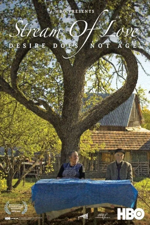 爱之溪流(2013)海报