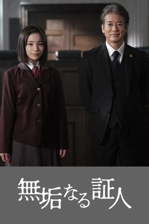 无垢的证人(2026)海报